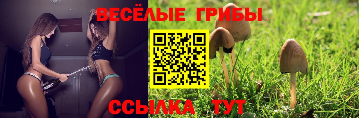 Галлюциногенные грибы прущие грибы  Вход с VPN  наркотики  Заволжье 