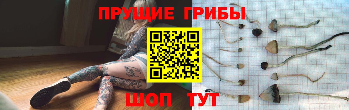 Псилоцибиновые грибы Cubensis Заволжье
