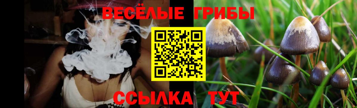 Марихуана Заволжье